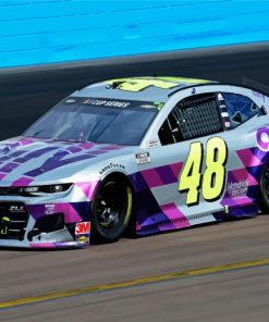 Jimmie Johnson Driver Diamond Paintings