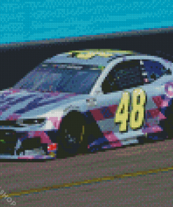 Jimmie Johnson Driver Diamond Paintings