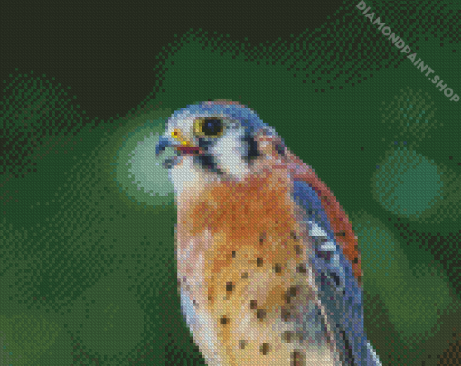 Kestrel Bird Diamond Paintings