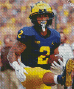 Michigan Wolverine Player Diamond Paintings