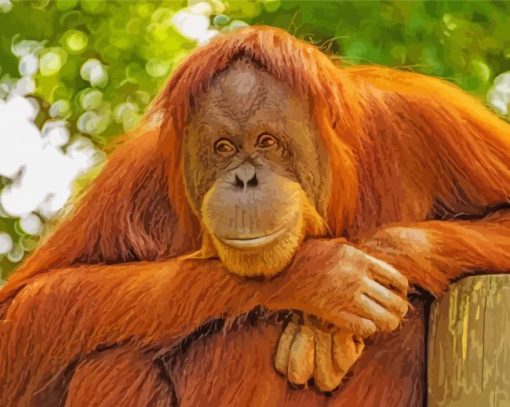 Orangutans Animal Diamond Paintings