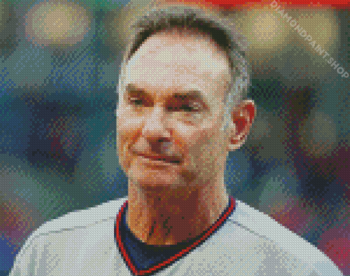 Aesthetic Paul Molitor Diamond Paintings