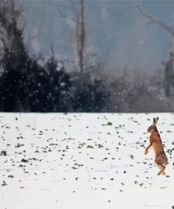 Rabbit Dancing In Snow Diamond Paintings