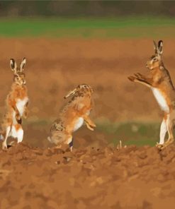 Rabbits Dancing Diamond Paintings