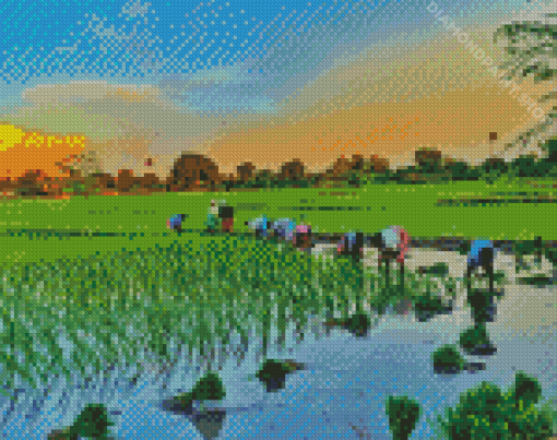 Rice Field Asia Diamond Paintings