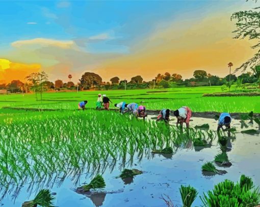 Rice Field Asia Diamond Paintings