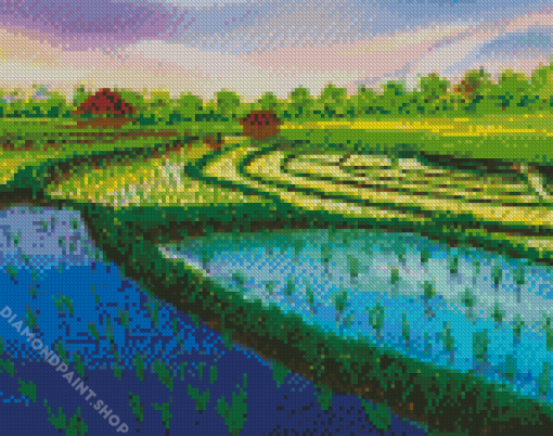 Rice Field Diamond Paintings