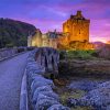 Road To Eilean Donan Castle Diamond Paintings