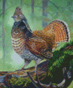 Ruffed Grouse Bird Diamond Paintings