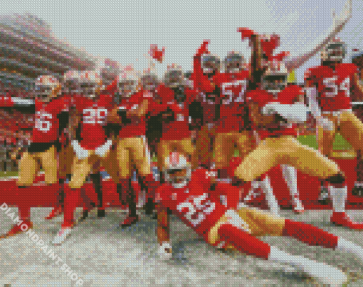 San Francisco 49ers Team Diamond Paintings