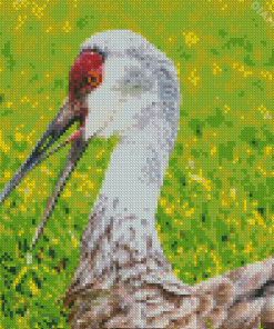 Sandhill Crane Diamond By Paintings