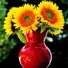 Sunflowers In Red Vase Diamond Paintings