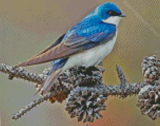 Swallow Bird Diamond Paintings