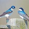 Adorable Swallow Birds Diamond Paintings