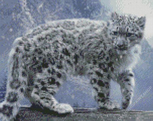 The Snow Leopard Diamond Paintings