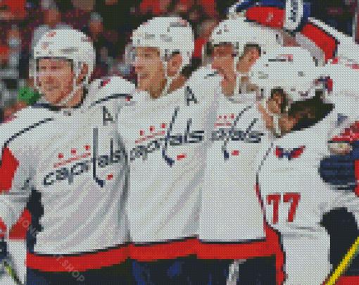 Washington Capitals Team Diamond Paintings