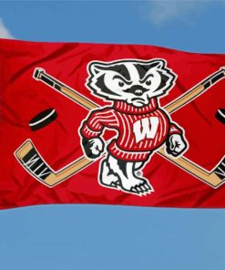 Wisconsin Badgers Flag Diamond Paintings