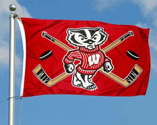 Wisconsin Badgers Flag Diamond Paintings