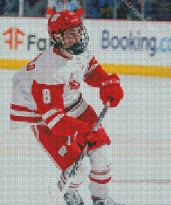 Wisconsin Badgers Hockey Diamond Paintings