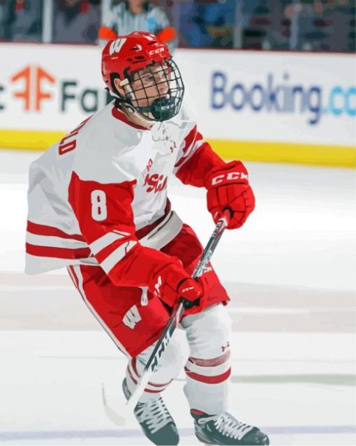 Wisconsin Badgers Hockey Diamond Paintings