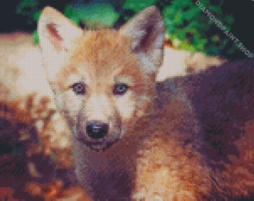 Wolf Cub Animal Diamond Paintings