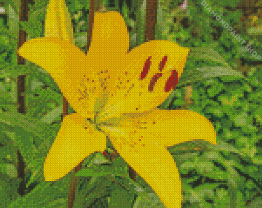 Yellow Lily Rose Diamond Paintings