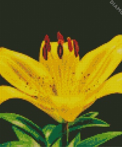 Yellow Lily Flower Diamond Paintings