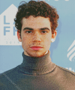 Cameron Boyce Actor Diamond Paintings