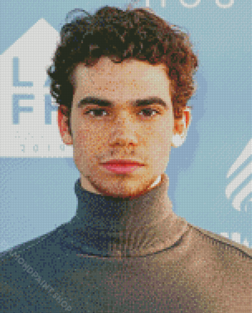 Cameron Boyce Actor Diamond Paintings