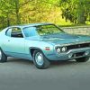 Aesthetic 1971 Roadrunner Diamond Paintings