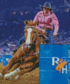 Barrel Racing Diamond Paintings