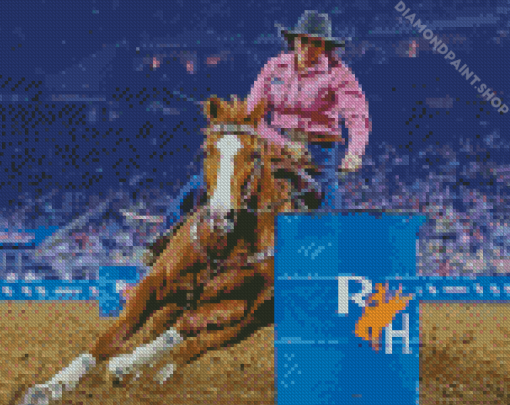 Barrel Racing Diamond Paintings