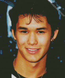 Booboo Stewart Actor Diamond Paintings