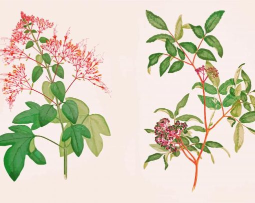 Botanical Plants Diamond Paintings