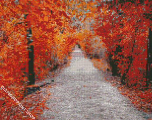 Walk In Autumn Diamond Paintings