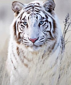 Adorable Siberian Tiger Diamond Paintings