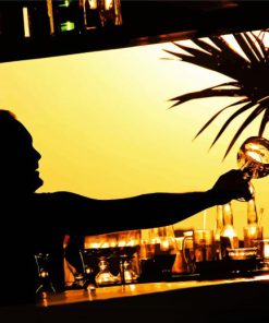 Barman Silhouette Diamond Paintings