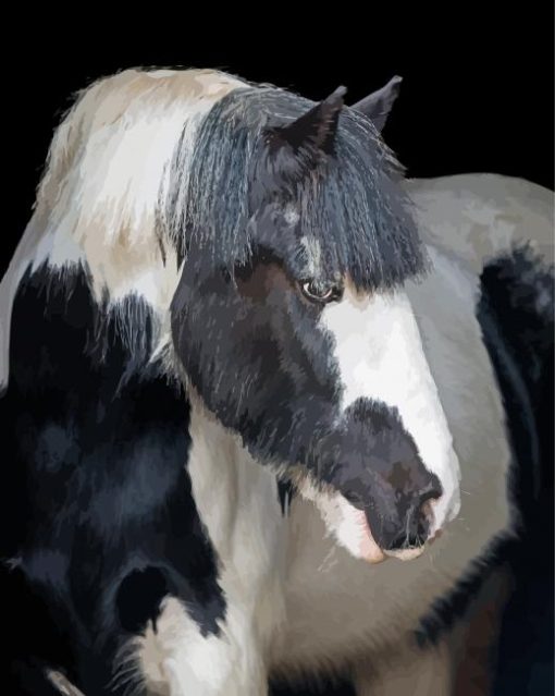 Cob Horses Diamond Paintings