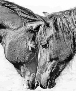 Monochrome Cob Horses Diamond Paintings