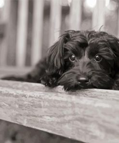 Monochrome Yorkiepoo Diamond Paintings