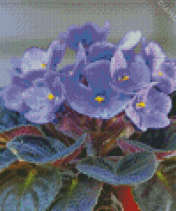 Blue African Violets Diamond Paintings