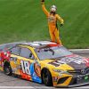 Car Racer Kyle Busch Diamond Paintings