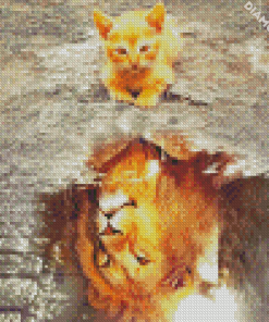 Cat Water Reflection Diamond By Paintings