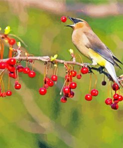 Bird With Cedar Tree Diamond Paintings