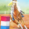 Cool Barrel Racing Diamond Paintings