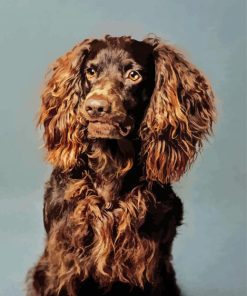 Boykin Spaniel Puppy Diamond Paintings