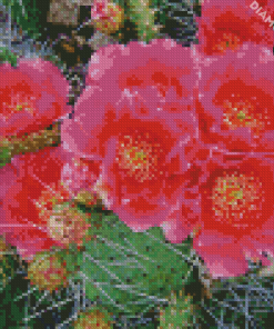 Cactus With Pink Roses Diamond Paintings