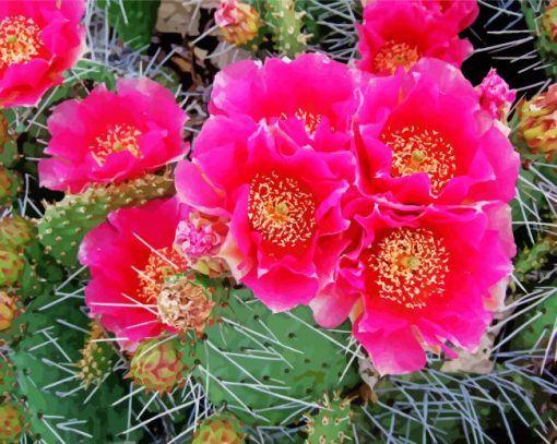 Cactus With Pink Roses Diamond Paintings