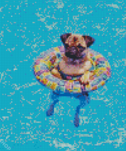 Cute Dog In Pool Diamond Paintings