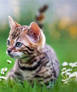 Cute Kitten Tiger Diamond Paintings